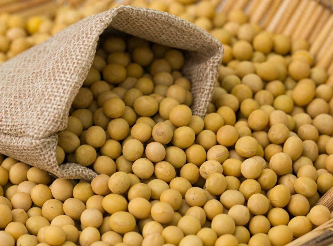 信用平台出租_中方终于出手信用平台出租,40艘巨轮开往中国,美国担心的事还是来了