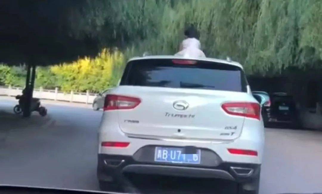 如何代理皇冠信用網_惊险如何代理皇冠信用網!青海一女童竟端坐在行驶中的轿车车顶!