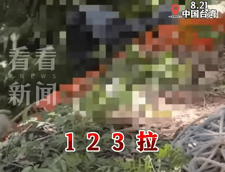 科希策vs鲁容贝罗克_17岁少年遭好友虐杀弃尸! 当地警方: 9人落网,含1名现役海军中士