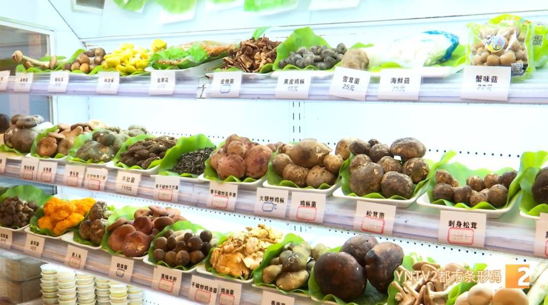 世界杯2026欧洲外围赛_云南毒菌名单公布世界杯2026欧洲外围赛！见手青被“除名”！新增→