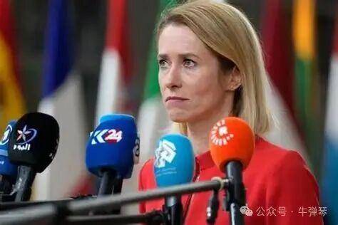 皇冠信用网出租_对这位欧洲女性皇冠信用网出租，中国很愤怒