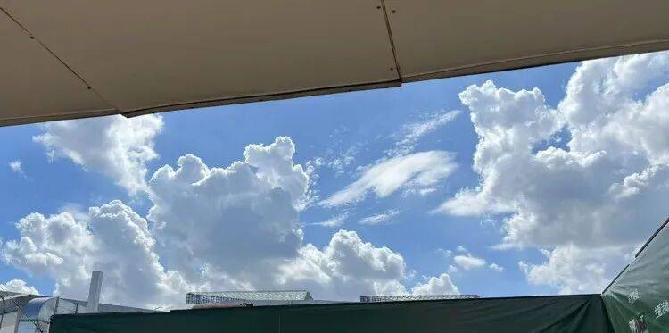 皇冠信用盘押金多少_上海又热成全国第一！网友连呼“回到黄梅天”皇冠信用盘押金多少，还要热多久？