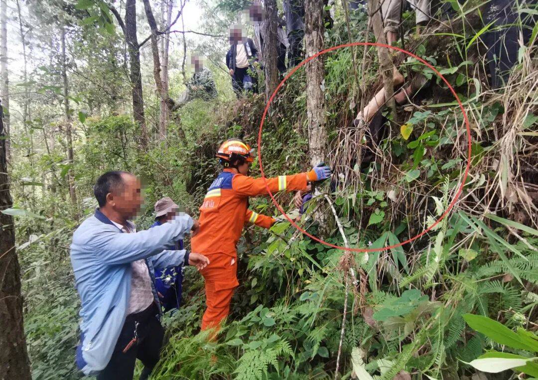 皇冠信用網代理出租_93岁老人进山失联皇冠信用網代理出租，两天后发现他倒挂在树杈上苦撑……