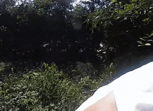 皇冠信用網最高占成_诡异！浙江男子独自前往公墓皇冠信用網最高占成，偷偷塞了一大笔钱！民警顺藤摸瓜还搜出了假发、人脸面具……