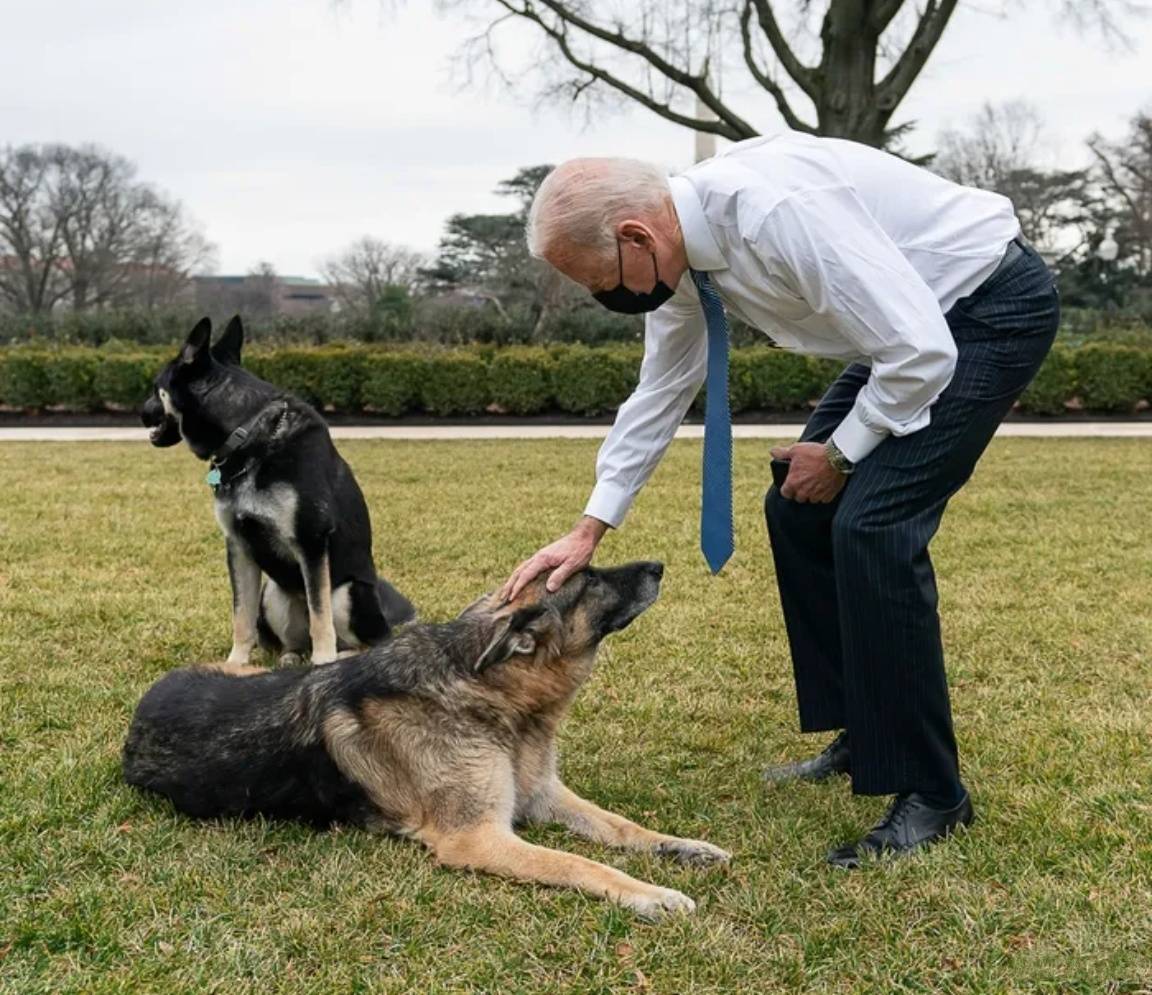 怎么注册皇冠信用代理_新加坡劝中国放弃自给自足怎么注册皇冠信用代理，称美国还有绝招！这个印度裔总统，对华不怀好意