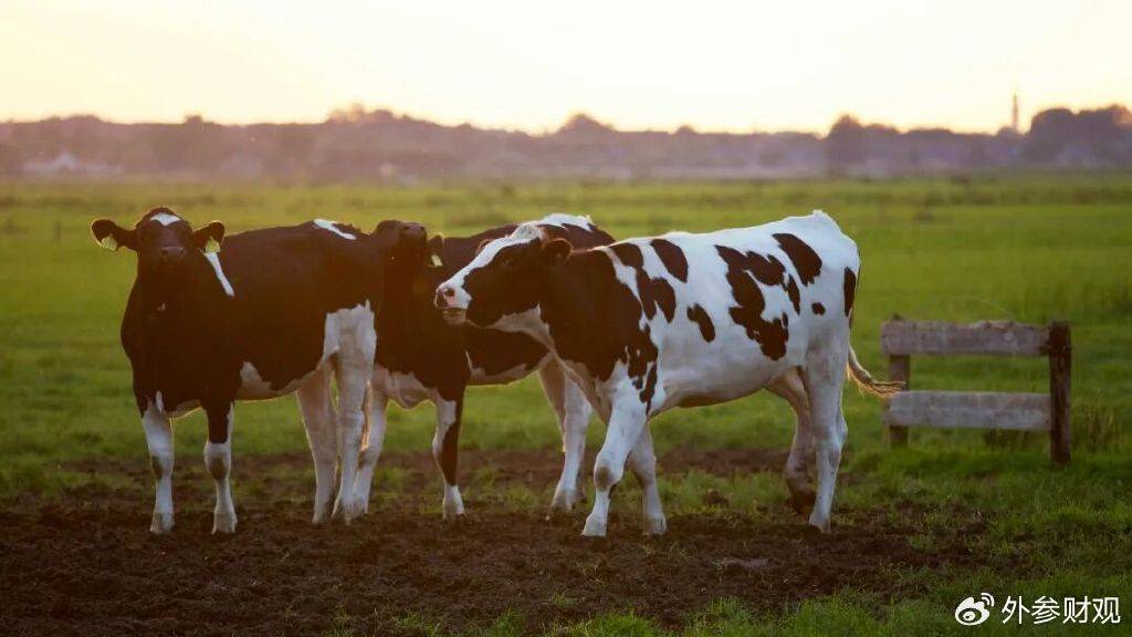 外围买球app十大平台_当液态奶触达天花板：伊利的下一个“金典”在哪里外围买球app十大平台？