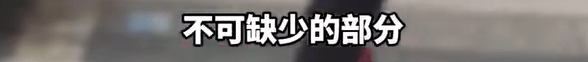 本菲卡 vs 勒洪库森_养了四年的宠物鸭被汽车碾死本菲卡 vs 勒洪库森，老太太当街包鸭痛哭，目击者：她老伴重病，鸭子是用来祈福的