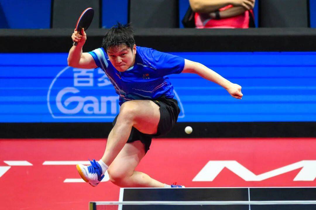 买球的正规网站_现场｜当樊振东把全运会打成舒适区买球的正规网站，我们要急着他回来吗？