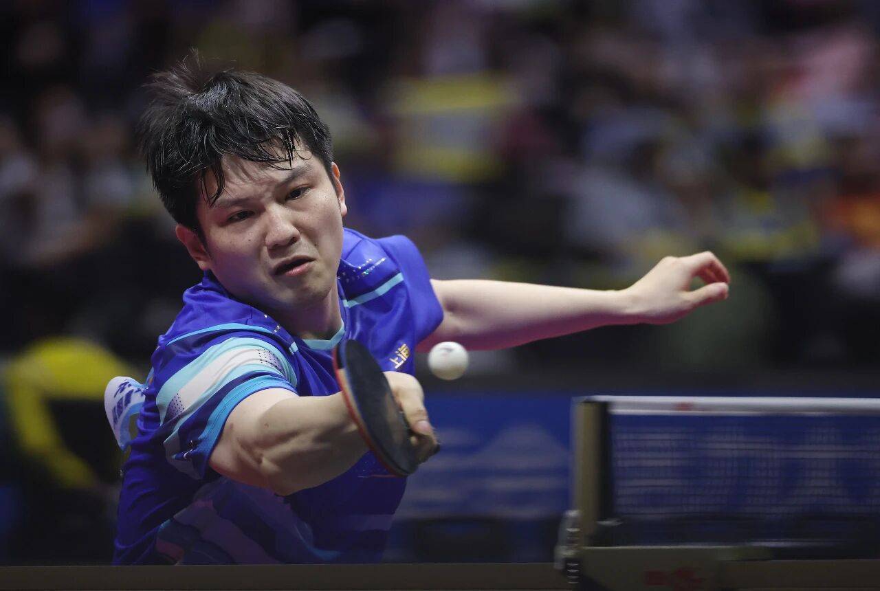 买球的正规网站_现场｜当樊振东把全运会打成舒适区买球的正规网站，我们要急着他回来吗？