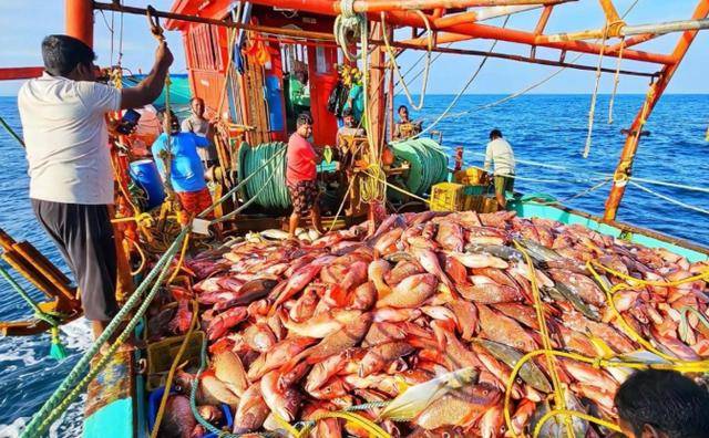 皇冠信用盘申请条件_中方一脚将日本踢出局皇冠信用盘申请条件，印度狂喜接盘！先问问14亿中国人答不答应