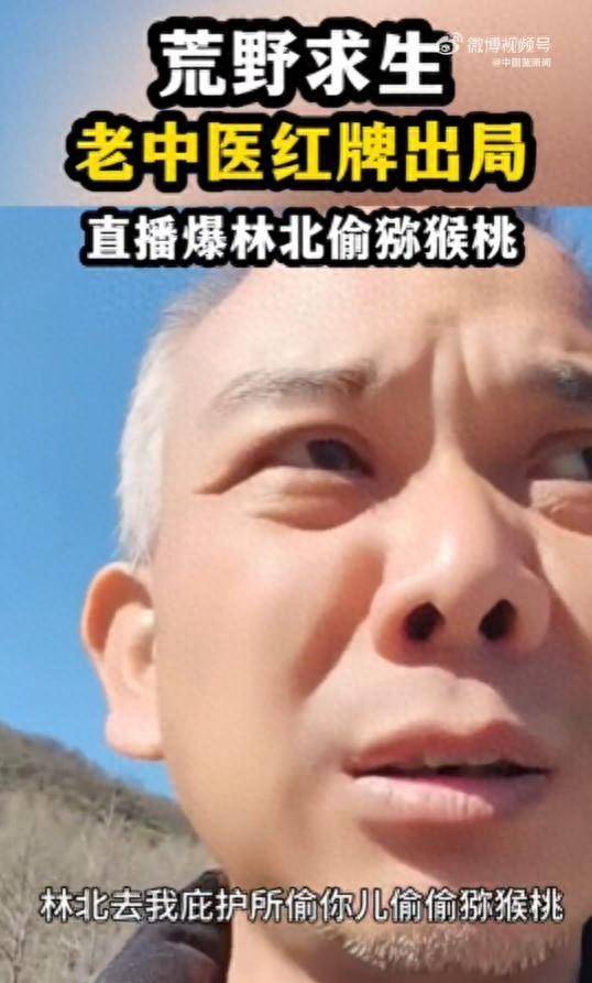 皇冠信用網代理_荒野求生“老中医”曝林北偷猕猴桃皇冠信用網代理，“荒野第一帅”文车车休整5天长15斤