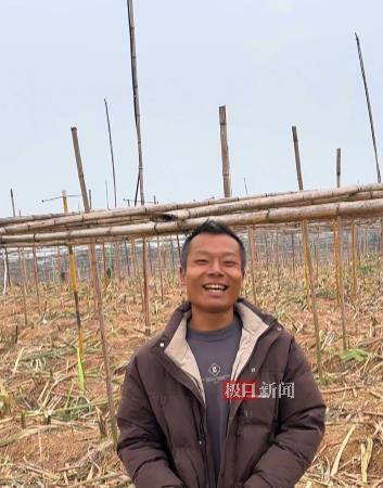 皇冠登3代理注册_终于被你们偷完了！农场老板笑嘻嘻宣布“自助偷甘蔗”活动结束皇冠登3代理注册，自称要下班回家睡瞌睡