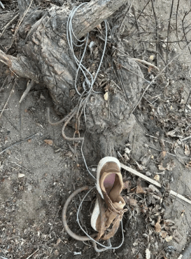 皇冠信用网出租代理_“鞋子完全穿透”！北京一男子进山玩皇冠信用网出租代理，突然脚被一股强大的力量咬住