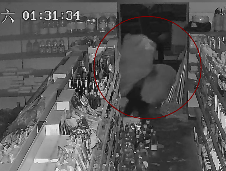 皇冠信用网怎么申请_青岛某超市凌晨突然出现神秘黑影皇冠信用网怎么申请,披着烂麻袋低着头,当他终于转过脸来,警察都气笑了